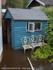 forget-me-not shed of shed - Flooded shed, 