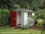 Deep in the garden of shed - Green Gables, Worcester