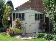 Front in Summer of shed - Daisey, Surrey