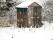 In Winter of shed - Allotment Tool Shed, 