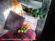 Vratch Heights: some of my plot grown fruit and veg in my shed