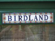  of shed - Birdland, Kent
