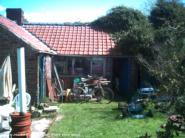 A rare thing - sunshine! of shed - , 