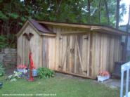  of shed - Canadian Pine, 
