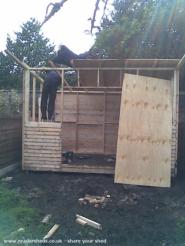  of shed - my shed, 