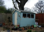  of shed - The Potting shed!, Worcestershire