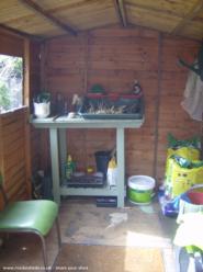 Inside, no crawlies to be seen of shed - Sanctuary, 