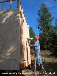 More sheathing... of shed - The Yonderosa Mini-Delux, 
