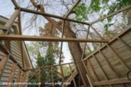 Internal view of framework of shed - The WArkshop, Hertfordshire