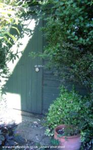 Door of shed - The shed, 