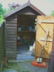 Busy Shed on a Sunny Day of shed - Just My Shed, 