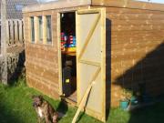 The NEW shed of shed - My Comfort Zone, 