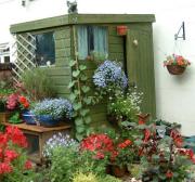 The Shed: 2006 photo