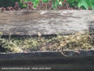 trombone shed: Mossy gutter