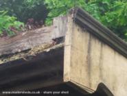 trombone shed, 