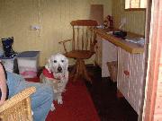 Owner at home of shed - The Quiltshack, 