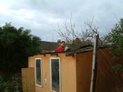 Pigeon loft being demolished of shed - Fox's den, 