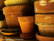 Pots of shed - The Church of Gardening, New Hampshire