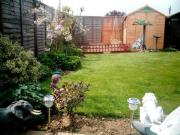 OAP DEN, 