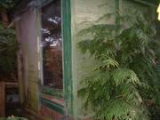 treehouse/sauna (hidden from neighbours) of shed - bike shed, Perth & Kinross