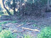 Head Weeders Office: The Site - yikes!