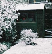  of shed - Snow shed, 
