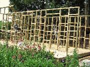 Head Weeders Office: Aaaahhh! a whole forest......!