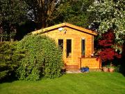 Dog House: Early Spring