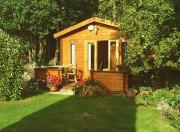 Dog House: Summer 2005