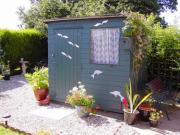 of shed - Dolphins Den, 