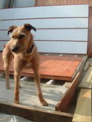 TBC: OK so the base is finished can we go for a walk NOW!