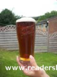 BAR HUMBUG AND HOME BREWERY: lager results