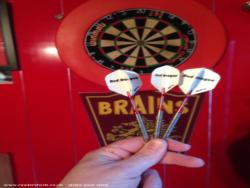 The Red Dragon (chataux delux): Darts