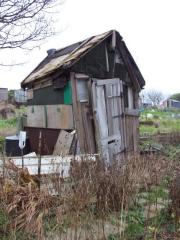 The supporting side of shed - The most unstable shed on Tenantry Down Allotments, 