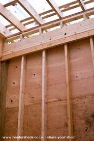 interior before inner sheathing of shed - Q's Avian Chateau, 