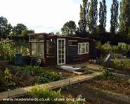 the transformation of shed - , 