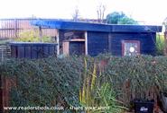 Paint it Black. Helps absorb some early morning sunlight. of shed - THE BEDLAM DUBSHAK, West Riding