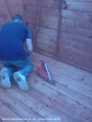 The build of shed - , 
