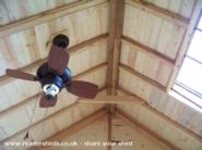 ceiling showing skylight of shed - The Garden Shed, 