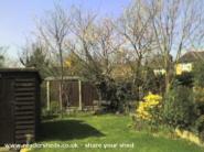 The garden of shed - , 