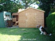 The holy trinity + dog of shed - Shed 7, 