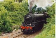 .......and a steam train came by. of shed - , 