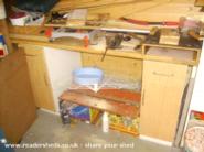 Inside of shed - The Xtra shed, 