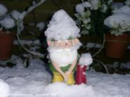 Frozen Gnome! of shed - The Cowshed Bar, 