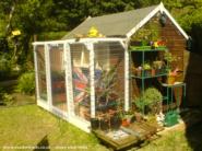 Bettie mark2, complete with greenhouse of shed - Bettie, 