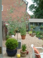 THE Shed and completed garden of shed - , 