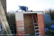 Takes some weight! of shed - www.shed, Swindon