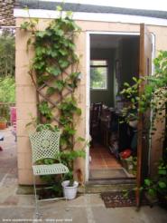Front and inside of shed - Clare's Shoffice, 