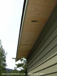 Soffit, May 2009 of shed - The Yonderosa Mini-Delux, 