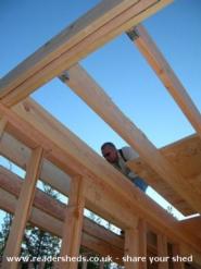 Framing the Loft of shed - The Yonderosa Mini-Delux, 